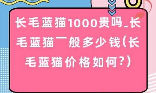 长毛蓝金渐层品相介绍_2023长毛蓝金价格