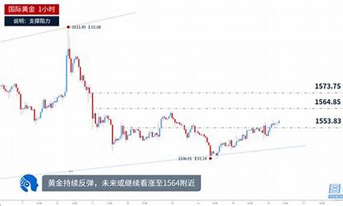 金价延续反弹走势_金价持续大跌