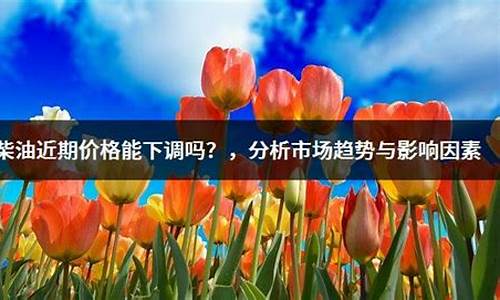 柴油价格能便宜吗吗_柴油价格以后能不能再便宜